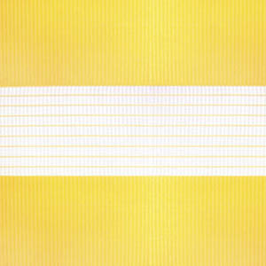 зебра СТАНДАРТ 4210 желтый 280см